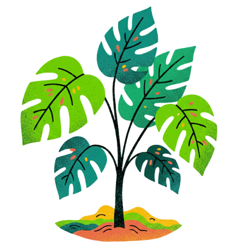 איור של שתיל יוצא מן האדמה