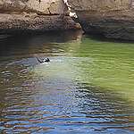 למי שייך הנגב?