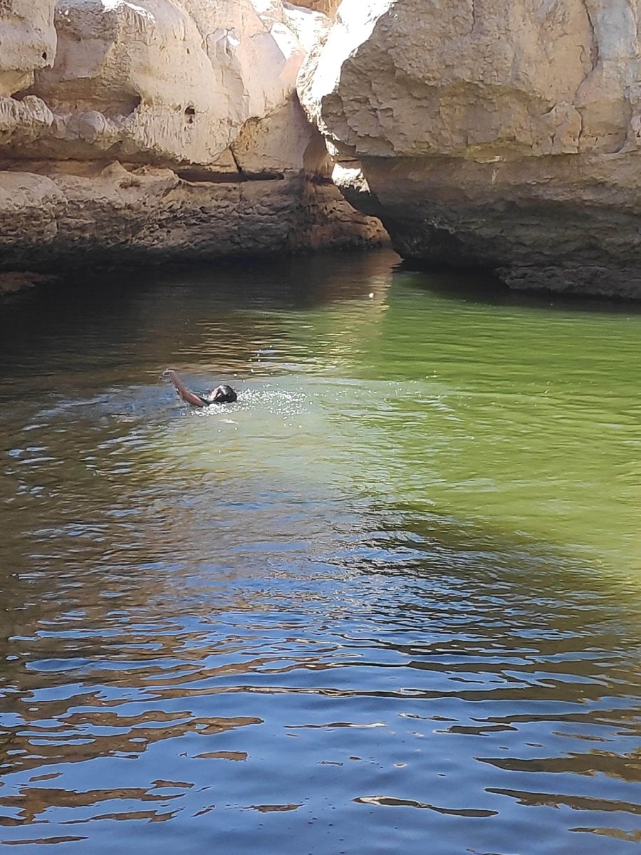 למי שייך הנגב?