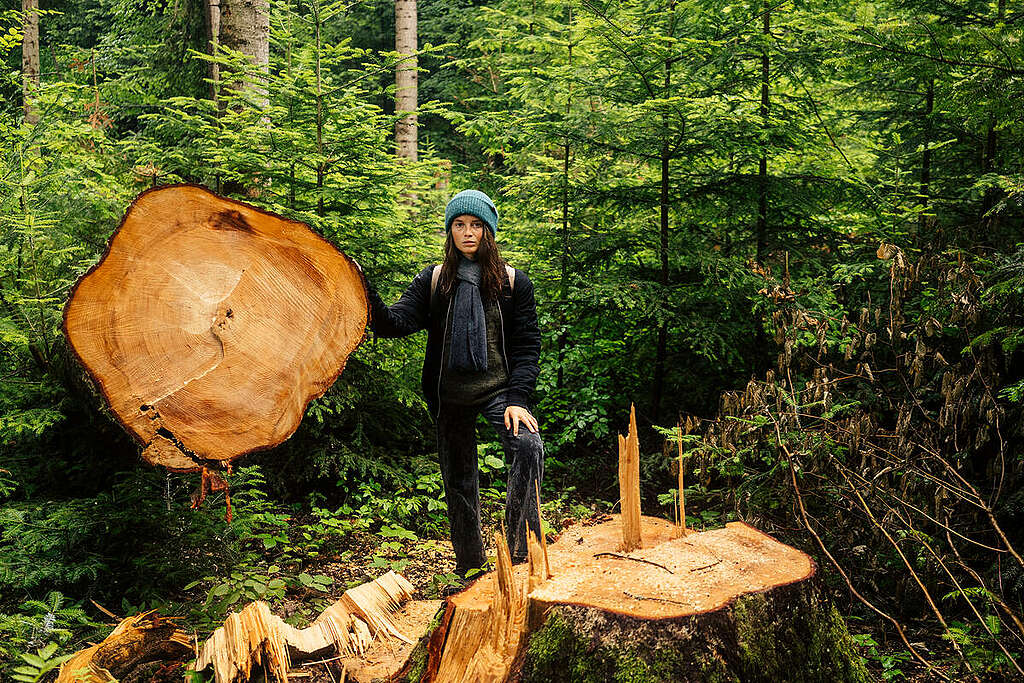 אישה עומדת על גזע עץ גדול כרות ושמה יד על העץ הכרות שלידה