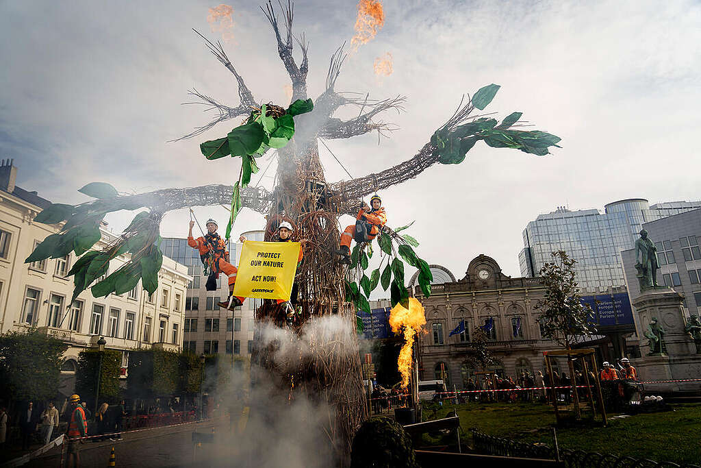 שלושה פעילי גרינפיס תלויים מעץ מלאכותי בוער, ומחזיקים שלט שעליו כתוב ״הגנו על הטבע שלנו. פעלו עכשיו!״.