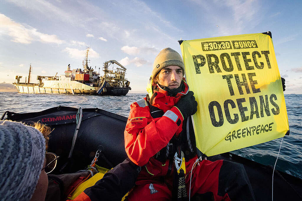 סירה מתנפחת של גרינפיס עם פעיל שמחזיק שלט צהוב עליו כתוב ״הגנו על האוקיינוסים״ על רקע ספינת דיג גדולה.