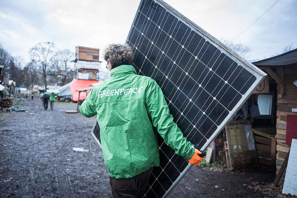 גבר עם מעיל ירוק של גרינפיס מחזיק פאנל סולארי גדול. 
