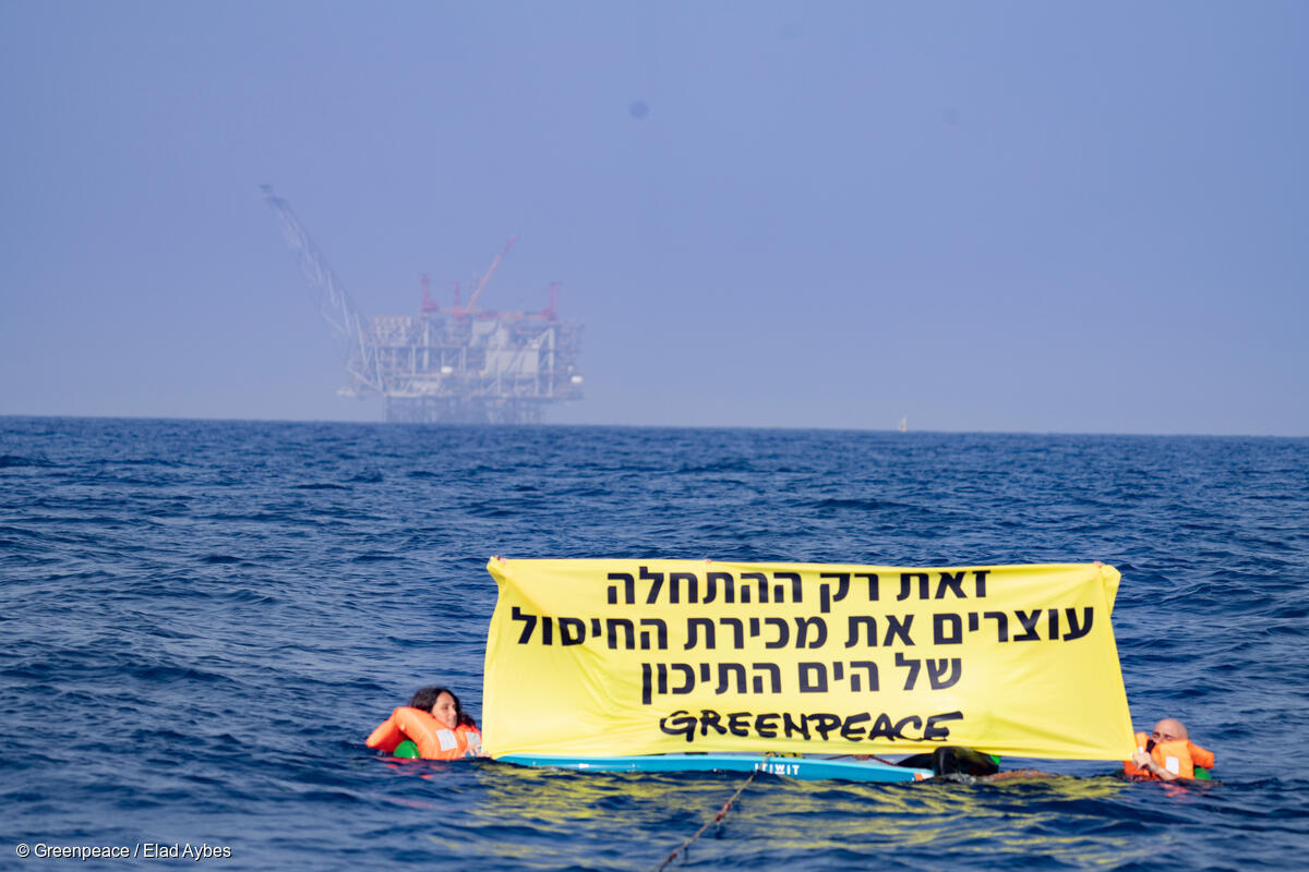 9f3a754e Gp1sx7co_medium Res With Credit Line 1200px 1 הגז-לייט נמשך