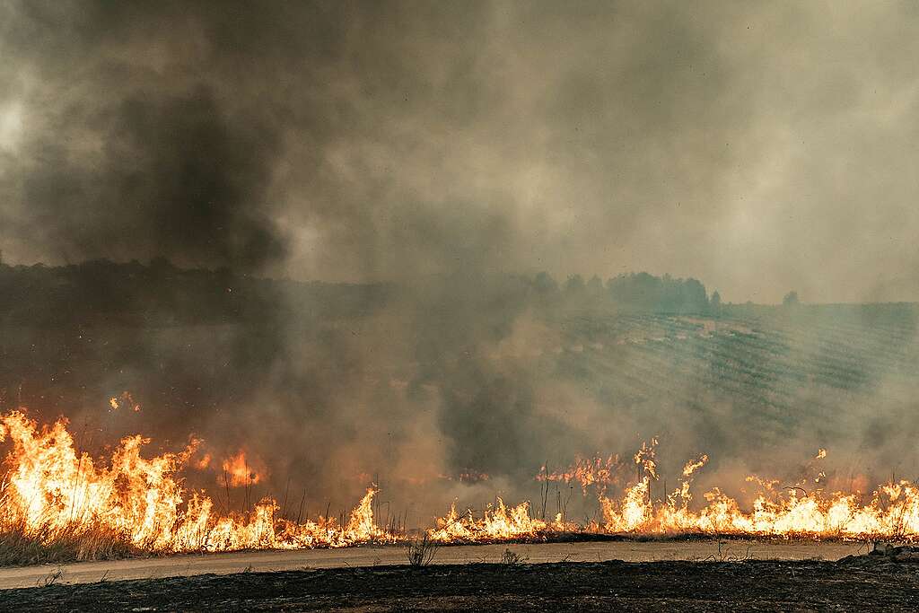 Cc22d6de Tap2167 2506x1671 1 פעילים של גרינפיס בקייאקים מול אסדת קידוח, עם דגלים נגד קידוחי נפט בארקטיס
