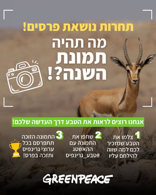 2c6f70de 779357347_1043754761889578_4586128843945827682_n תחרות תמונת השנה של גרינפיס