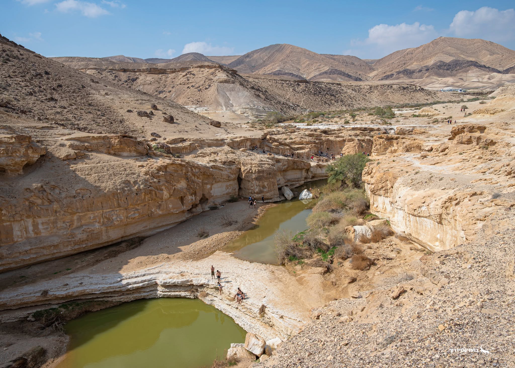 נחל מדברי עם מים ירוקים ואנשים מטיילים בין צוקי אבן חול.
