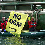 Canoe Activists Block Trans-Shipment in Italy. © Kate Davison