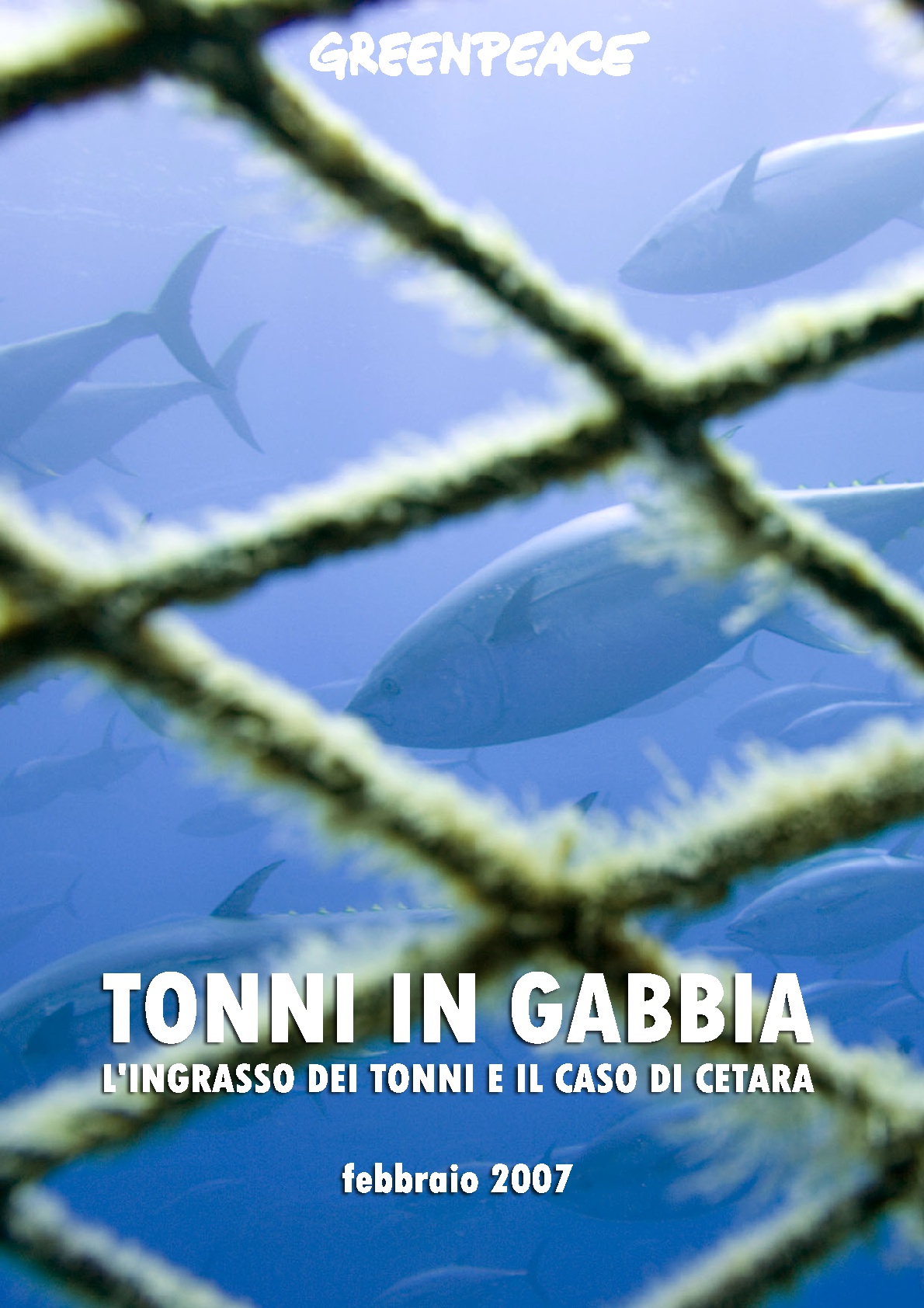 Tonni in gabbia. L’ingrasso dei tonni e il caso di Cetara