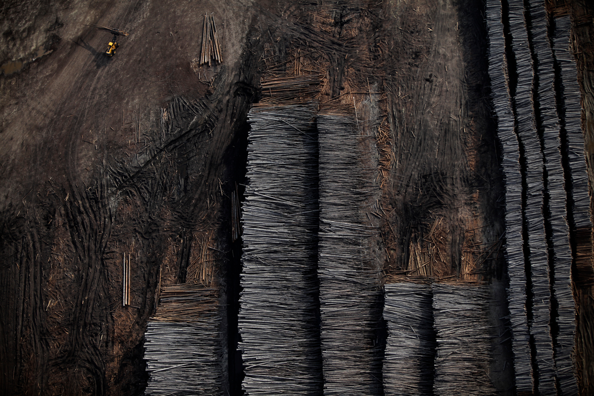 Clear-cutting of Alberta Boreal Forest. © Colin O'Connor