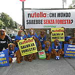 Activists dress in orangutan costumes to visit the Italian football team headquarters in Coverciano, to ask the team to save the forests. The orangutans hold banner that say - Nutella Salva la Foresta - Nutella Save the Forests. One of the main sponsor of the Italian team is Nutella, that belong to Ferrero, the Italian company that use palm oil from Indonesia for its products.