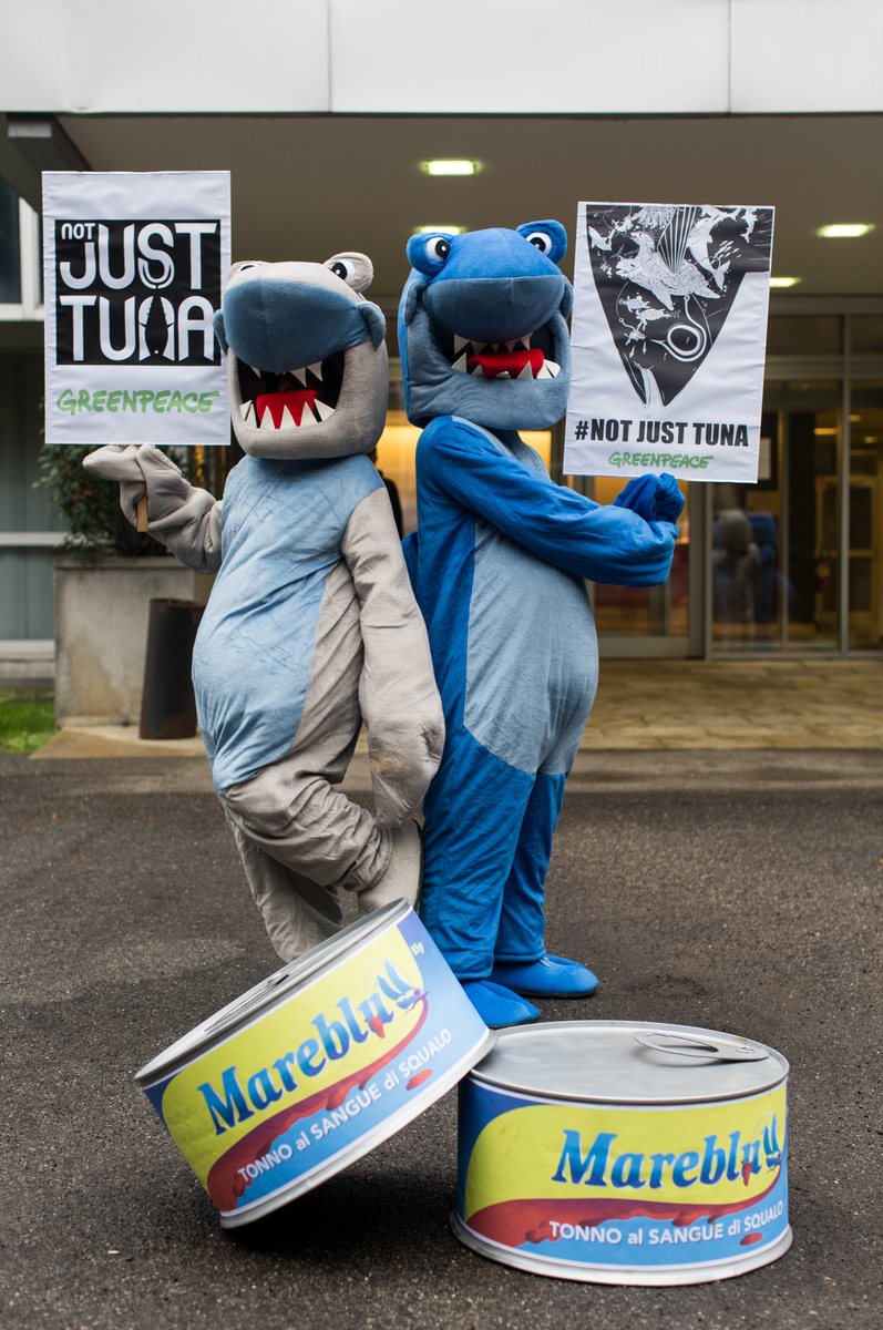 Sharks Protest at Thai Union's Italian Brand Mareblu in Milan. © Lorenzo Moscia