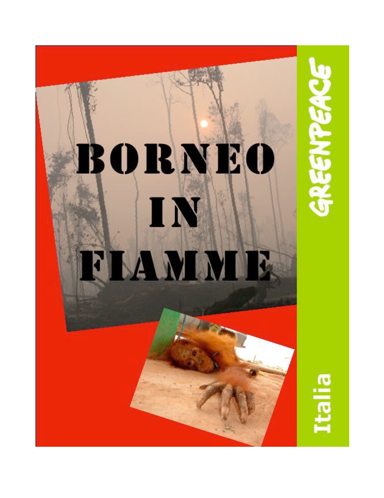 Borneo in fiamme
