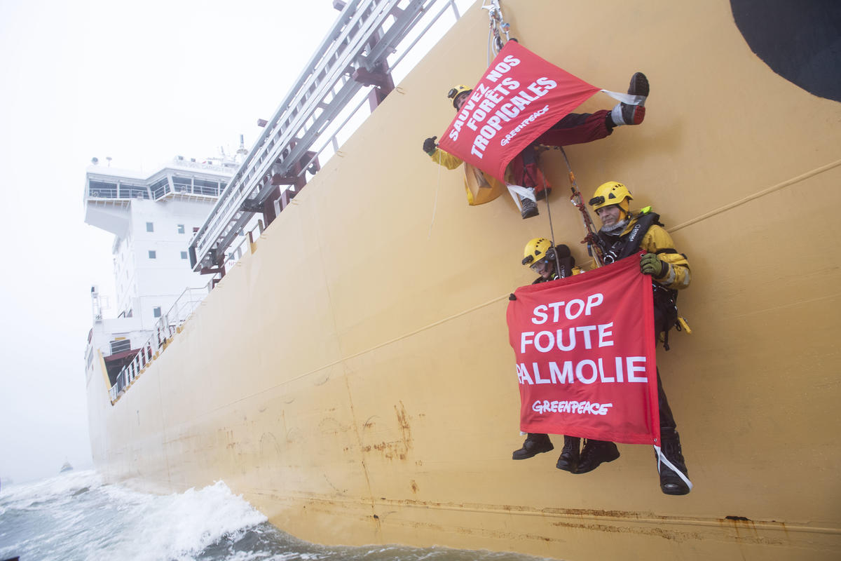 Dirty Palm Oil Protest In The Netherlands. © Marten  van Dijl