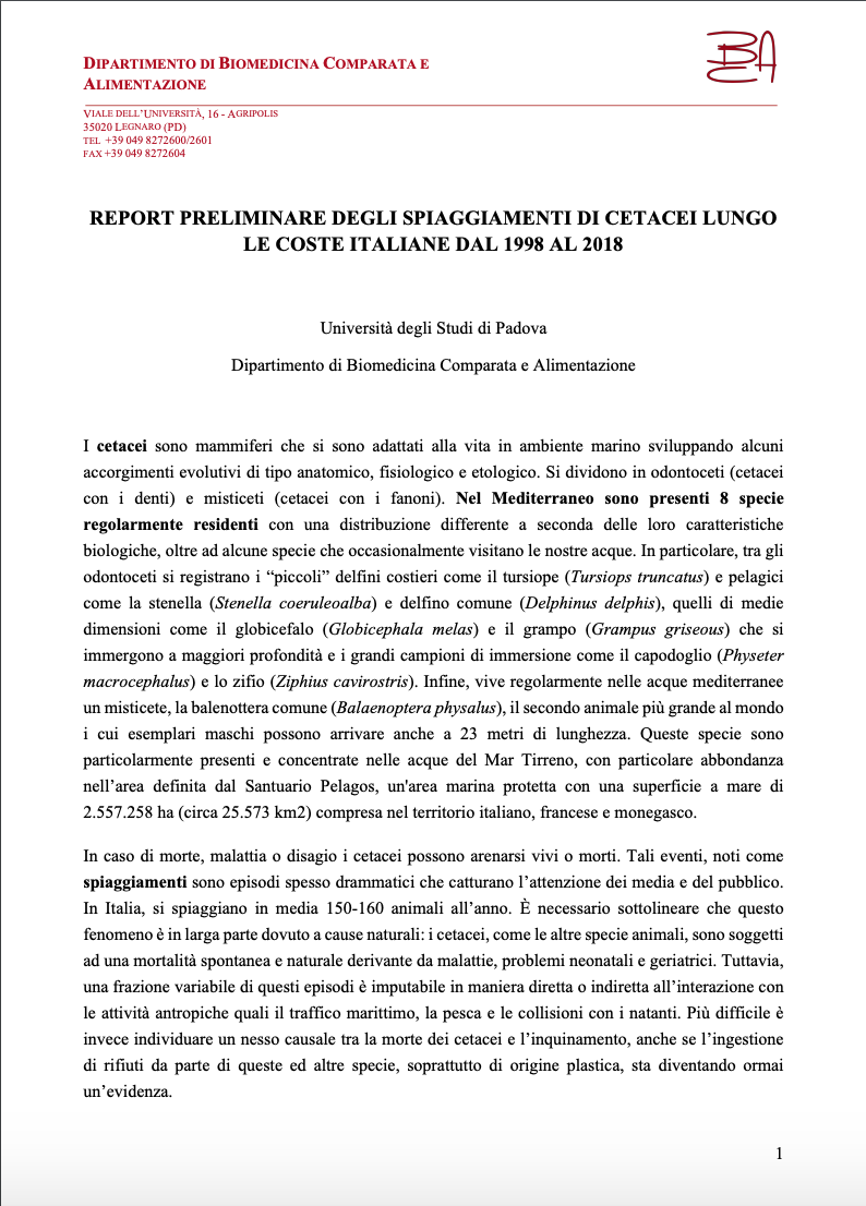 Report preliminare degli spiaggiamenti di cetacei lungo le coste italiane dal 1998 al 2018