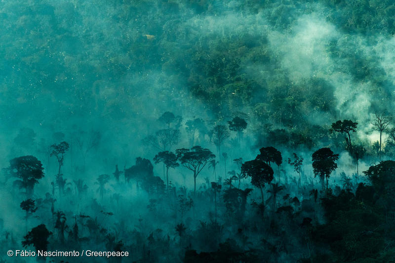 Incendi in Amazzonia - 2019