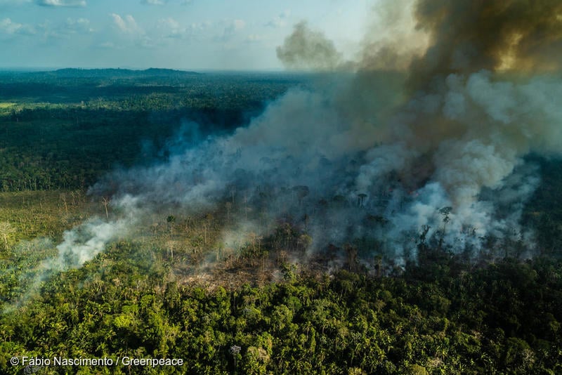 Incendi in Amazzonia - 2019
