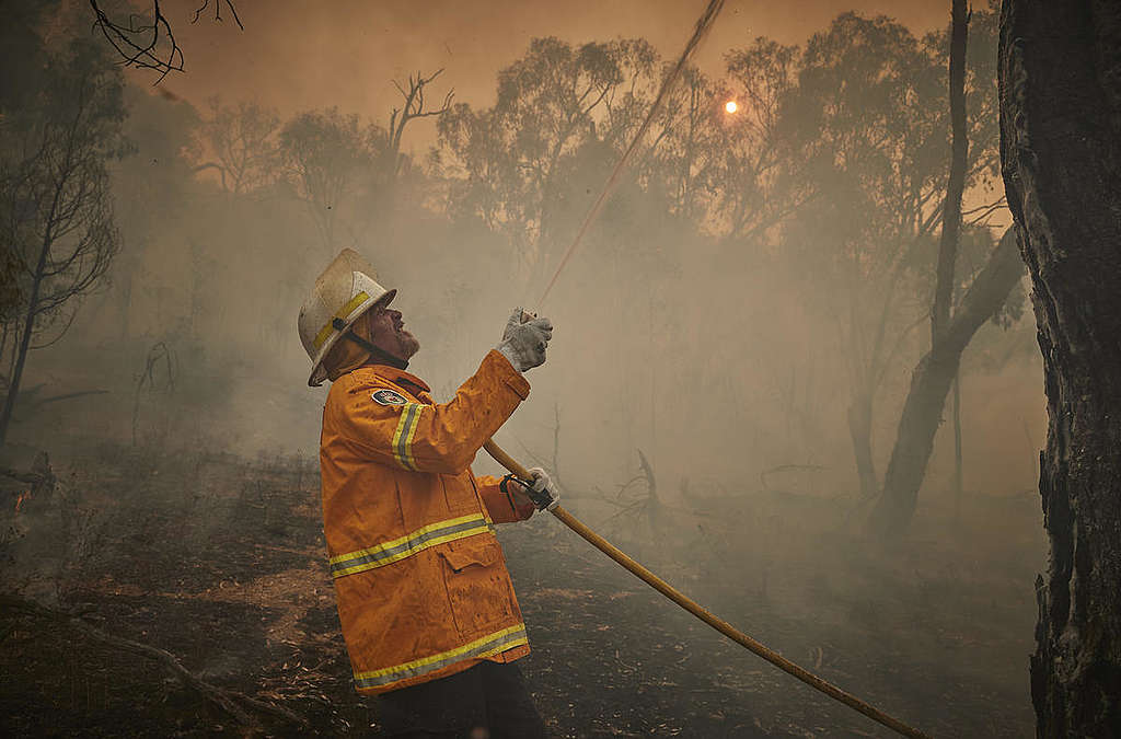Volunteer Firefighter during Bushfire in Snowy Mountains, Australia. © Kiran Ridley / Greenpeace