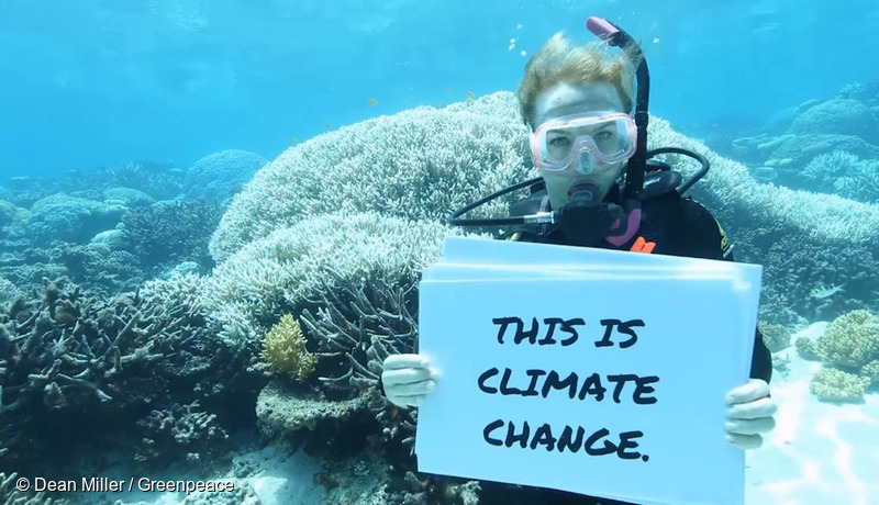 Grande Barriera Corallina Australiana Il Piu Esteso Sbiancamento Di Sempre Greenpeace Italia