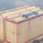 Un condominio infernale. Scopri qual è l’allevamento intensivo più grande del mondo