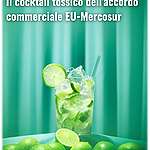 Lime ai pesticidi, un cocktail tossico: l’accordo commerciale UE-Mercosur