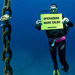 mare caldo