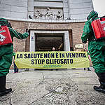 Glifosato: cos’è e come danneggia le persone e l’ambiente