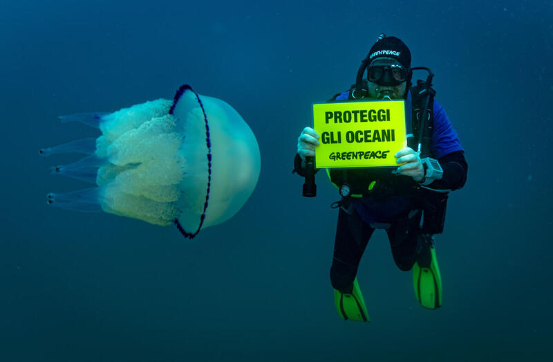 30×30: dal Trattato globale sugli oceani all’adozione di efficaci misure di protezione del mare