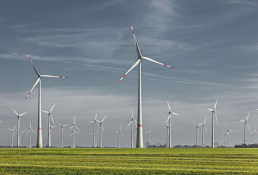 Wind Park in Feldheim, Germany. © Paul Langrock / Greenpeace