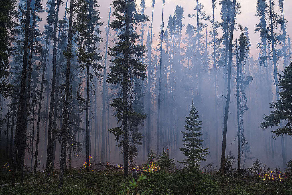 Incendi nnell'area a nord di Obedjiwan, Quebec