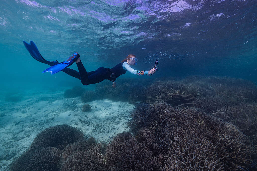 La barriera corallina delle isole Abrolhos, Australia