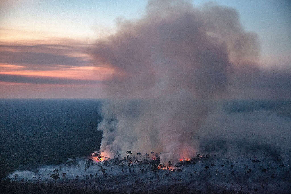 Incendio a Gleba Abelhas, situata in un'area forestale non protetta, nel comune di Canutama, Brasile