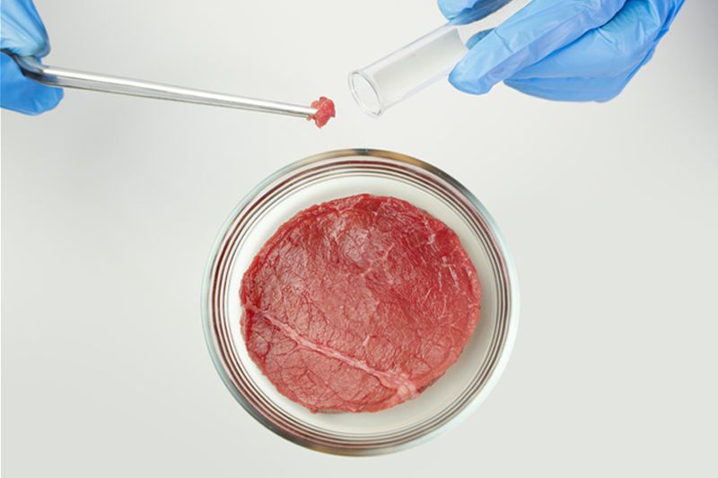 Campione di carne coltivata posto in provetta di vetro Campione di carne coltivata posto in provetta di vetro