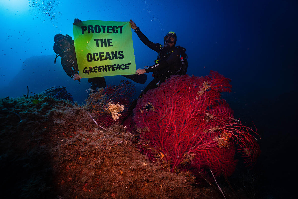 Mare e oceani: un patrimonio da proteggere - Greenpeace Italia