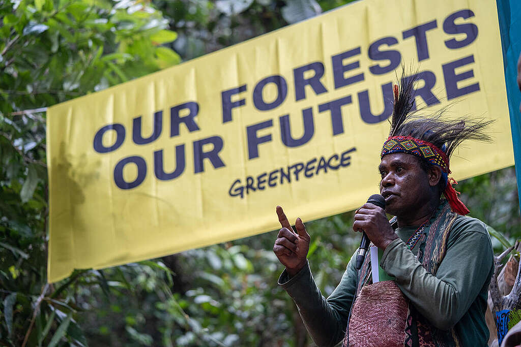 Forest Defender Camp in Papua. © Jurnasyanto Sukarno / Greenpeace