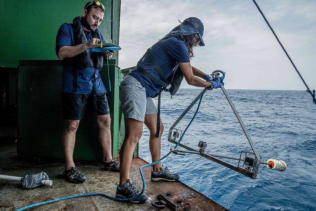 Una scienziata dispiega un BRUVS (Baited Remote Underwater Video System) dall'Arctic Sunrise nell'Oceano Pacifico