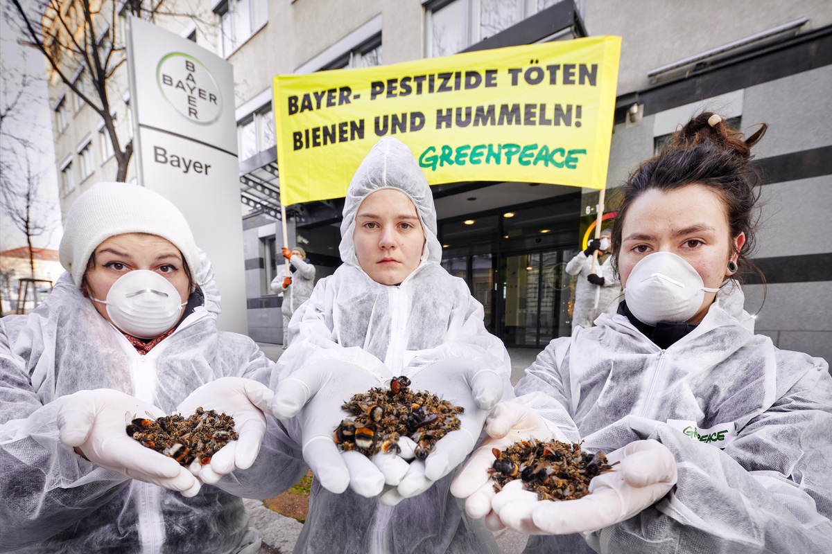 Bees Action at Bayer HQ in Vienna. © Mitja  Kobal / Greenpeace