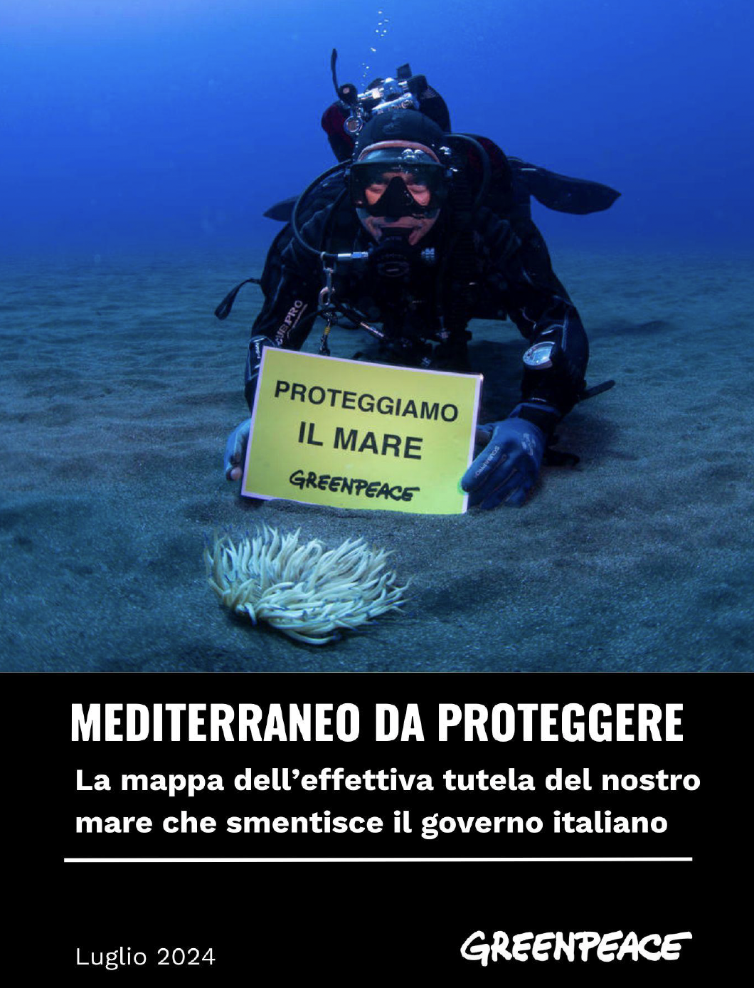 Mediterraneo da proteggere: l’indagine di Greenpeace sull’effettiva tutela del nostro mare