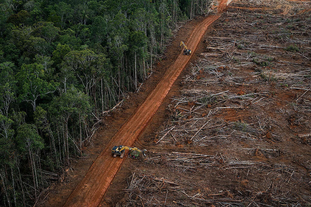 Veduta dall'alto di una foresta in Indonesia durante attività di disboscamento Veduta dall'alto di una foresta in Indonesia durante attività di disboscamento