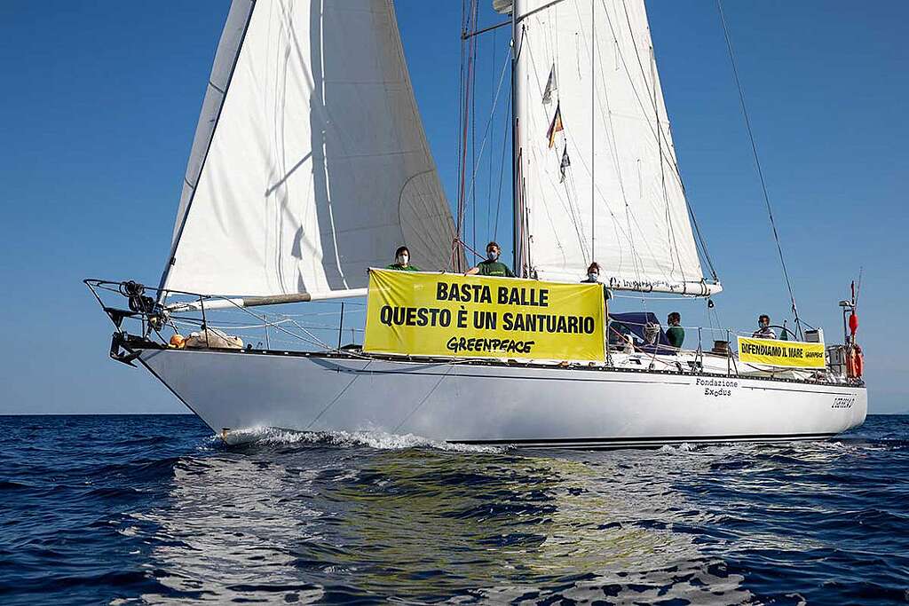 Greenpeace denuncia durante il suo tour in barca a vela la presenza di balle di plastica nel Santuario dei Cetacei Greenpeace denuncia durante il suo tour in barca a vela la presenza di balle di plastica nel Santuario dei Cetacei