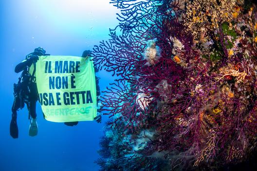 Al via AMPower, il progetto di Greenpeace e Blue Marine Foundation per aumentare la superficie protetta dei mari italiani