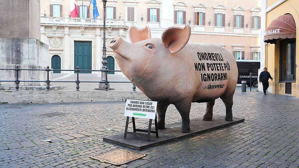 Scultura del maiale gigante con impressa la scritta "Onorevoli non potete più ignorarmi" e un cartello "Chiedo una legge per andare oltre gli allevamenti intensivi" Scultura del maiale gigante con impressa la scritta "Onorevoli non potete più ignorarmi" e un cartello "Chiedo una legge per andare oltre gli allevamenti intensivi"