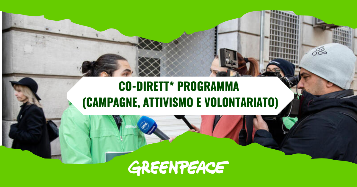 Co-dirett* Programma (Campagne, Attivismo e Volontariato)