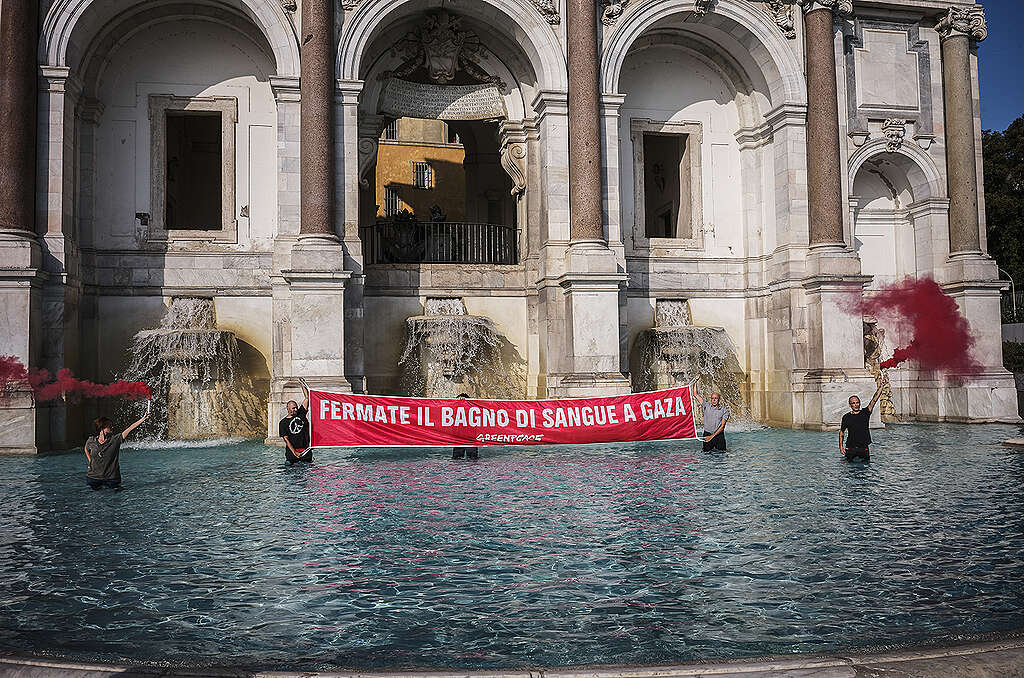 Attiviste e attivisti di Greenpeace nella vasca della fontana del Gianicolo a Roma protestano contro la strage in corso a Gaza