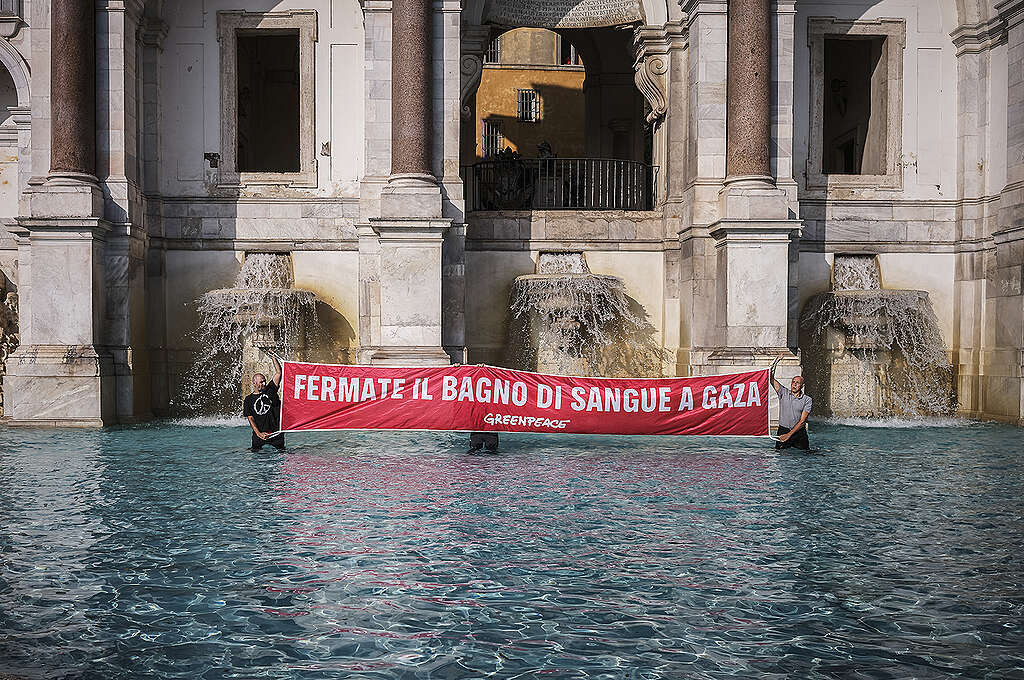 Активисты Гринпис Италия протестуют на Джанниколо против бойни, происходящей в Газе.