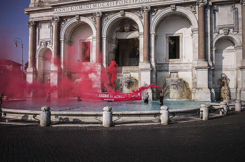Attiviste e attivisti di Greenpeace nella vasca della fontana del Gianicolo a Roma protestano contro la strage in corso a Gaza