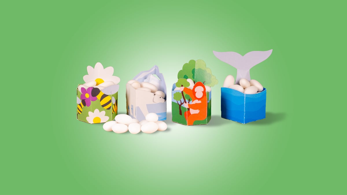 Bomboniere solidali per matrimoni: idee green per il tuo giorno indimenticabile
