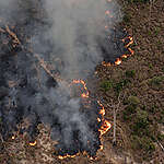 Greenpeace Brazil conducted an aerial survey in southern Amazonas and northern Rondônia to monitor deforestation and fires in July 2024. With over 10,000 hotspots just this month, the country has set a record for fire activity in nearly twenty years in the Amazon. Forest fires and burns were also reported in Conservation Units and properties financed with rural credit.
O Greenpeace Brasil realizou sobrevoo no sul do Amazonas e no norte de Rondônia para monitorar o desmatamento e queimadas em julho de 2024. Com mais de 10 mil focos somente neste mês, o país tem recorde de fogo para o período em quase vinte anos na Amazônia. Incêndio florestal e queimadas também foram registrados em Unidades de Conservação e propriedades financiadas com crédito rural.