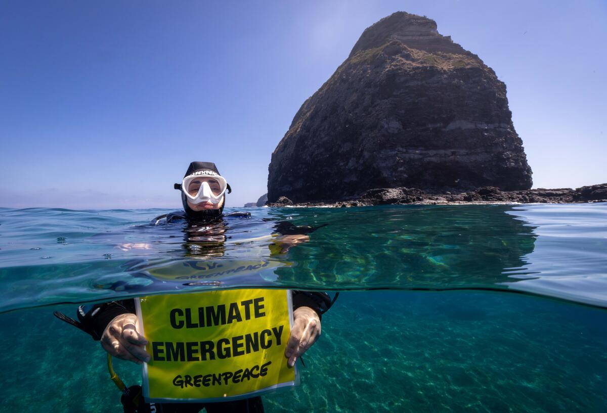 Nuovo rapporto Mare Caldo di Greenpeace: nel Mediterraneo temperature annuali mai così alte come nel 2024