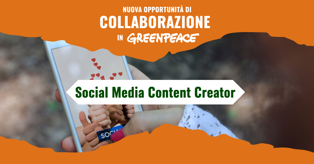 Social Media Content Creator